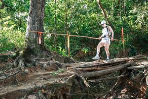 BIB: 
                            <button type="button" onclick="openModal(27553371)" class="btn btn-primary btn-sm float-right btn-popup" data-toggle="modal" data-target=".modal-high-quality">
                        <i class="fas fa-shopping-cart"></i> Add to Cart
                    </button>
                                            <button type="button" onclick="isThisMe(27553371, true)" class="btn btn-success btn-sm float-right btn-popup btn-isme hidden" data-toggle="tooltip" data-placement="bottom" title="นี่คือรูปของคุณใช่ไหม คลิกที่นี่เพื่อเอาเข้าอัลบั้ม">
                        <i class="fas fa-plus"></i> Add to album
                    </button>
                    <button type="button" onclick="isThisMe(27553371, false)" class="btn btn-warning btn-sm float-right btn-popup btn-isnotme hidden">
                        <i class="fas fa-ban"></i> Remove from album
                    </button>